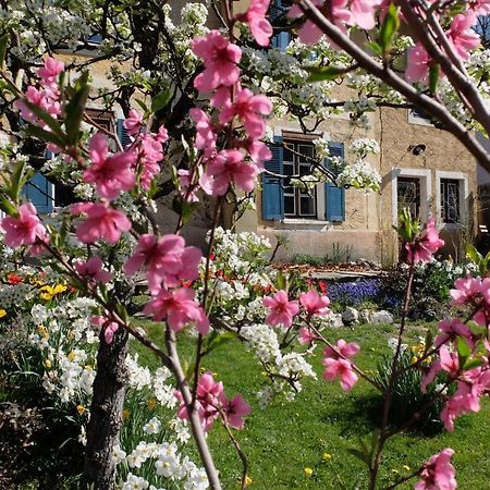 Bed and Breakfast La Foyere La Plagne Exterior foto